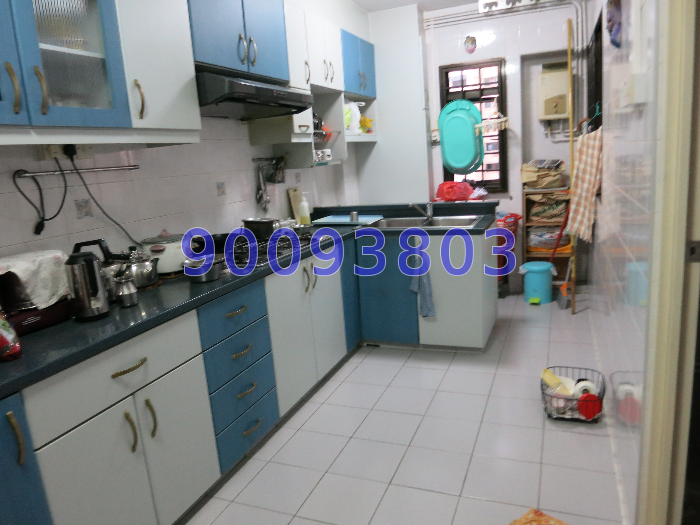 Blk 613 Bukit Panjang Ring Road (Bukit Panjang), HDB 4 Rooms #55579972